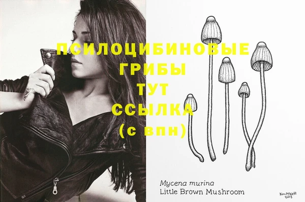 сатива Абинск